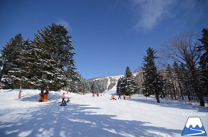 星野リゾート トマムスキー場 国内最上級の粉雪に包まれたリゾートへ！